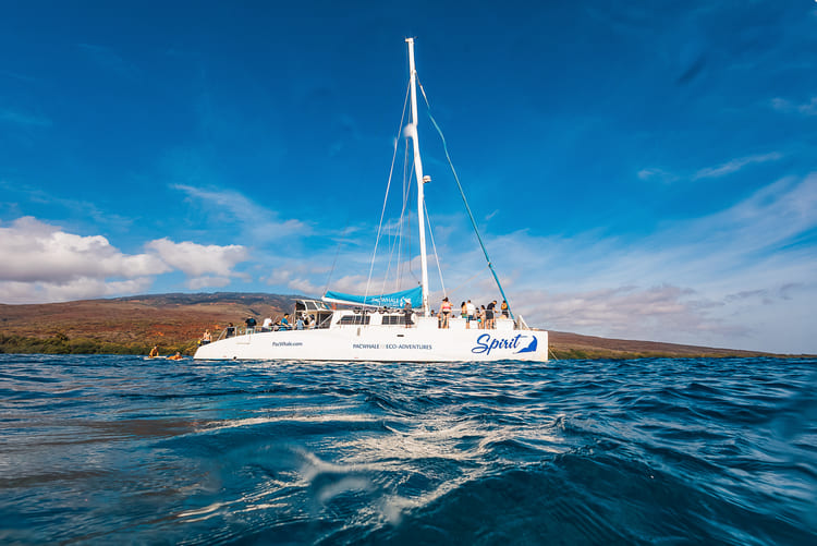 Pacific Whale Foundation - Lanai Snorkel & Dolphin Watch